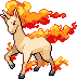 Rapidash