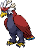 Brav