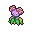 Shiny Bellossom