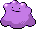 Shelter Ditto