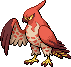 Talonflame