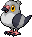 Homing Pigeon