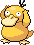 Psyduck