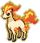 Ponyta