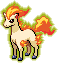 Ponyta