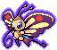 Beautifly