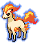 Ponyta