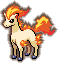 Ponyta