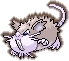 Raticate