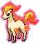 Ponyta