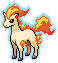 Ponyta