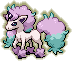 Ponyta