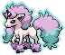 Ponyta