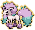 Ponyta