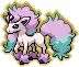Ponyta