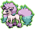 Ponyta