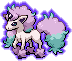 Ponyta