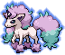Ponyta