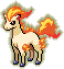 Ponyta