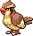 Pidgey