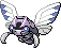 Ninjask