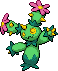 Maractus