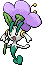 Floette
