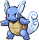 Wartortle Lvl 36