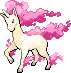 Rapidash