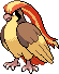 Pidgeot - 93%