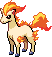 Ponyta