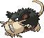 Raticate