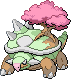 ☘️Seasonal Torterra