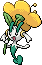 Floette