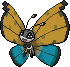 Vivillon