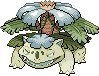 Pecan
